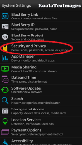 The Security and Privacy tab is about halfway down the list.