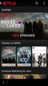 The menus on the Netflix app are easy to navigate.